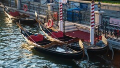 魅 力 东 港 ，浪 漫 东 港 （ 五 ）