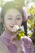 梨园树下（10）