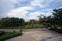 随拍——鹊华秋色