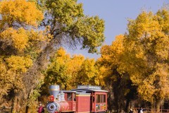 外出随拍（640）.