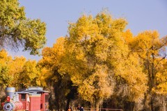 外出随拍（641）.