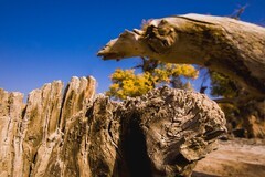 外出随拍（641）.