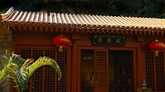 游天后宫随拍（三）