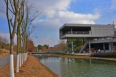 冬天的中江公园