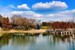 冬天的中江公园