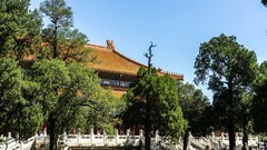 春游景山公园20250422 《13》