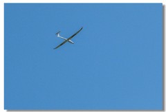 机场打“鸟”--南德航空节
