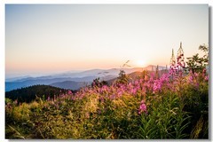 晨色高南山（南德）