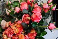 家中插花拍几张