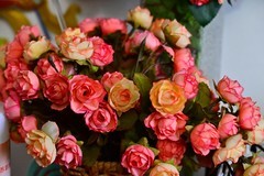 家中插花拍几张