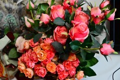 家中插花拍几张