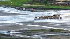 金秋乌兰布统-天太永（7）