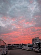 漫步星城 （958）天际那轮红日