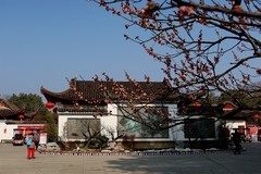 武汉梅花园（十五）
