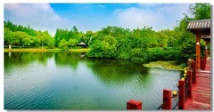尚湖湿地（三）