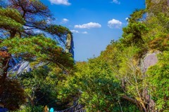 山清山风景66