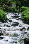山涧（一）