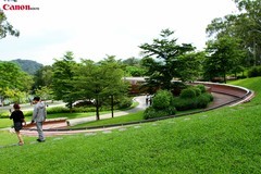 横枝岗小景。