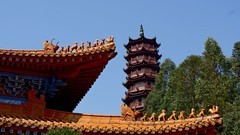 游天后宫随拍（5）