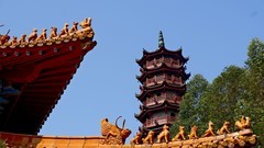 游天后宫随拍（5）