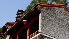 游天后宫随拍（5）