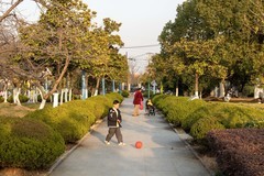 庐州印象（572）新海体育公园