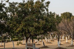 庐州印象（572）新海体育公园