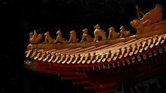 游天后宫随拍（4）