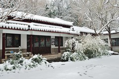 【视觉光影】瑞 雪 泉 城 （19）