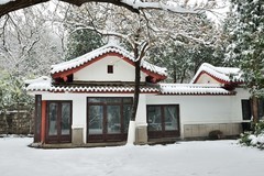【视觉光影】瑞 雪 泉 城 （19）