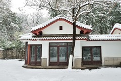 【视觉光影】瑞 雪 泉 城 （19）