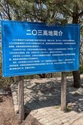 花 开 时 节 动 滨 城 （ 四 ）