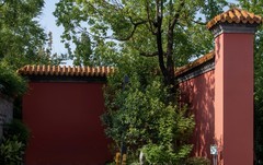 庐州印象（676）