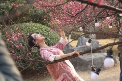 沙湾公园梅园人像--3