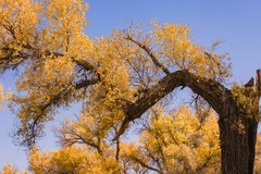 外出随拍（643）.