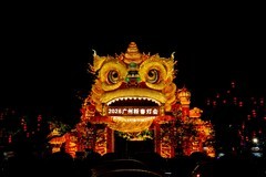 夜拍新春灯会-2