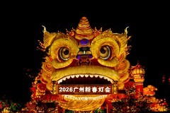 夜拍新春灯会-2