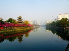 红梅映红望江楼