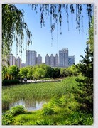 五一漫步【丙午年-112】