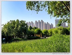 五一漫步【丙午年-112】