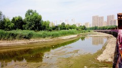 河水断流