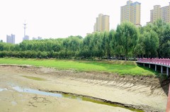 河水断流
