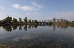 东安湖体育公园随拍