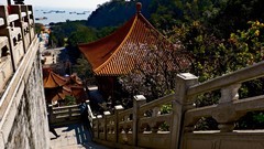 游天后宫随拍（6）