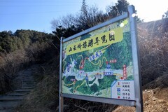 2026春节皖浙赣（111）站在皖浙天路最高点
