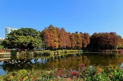流花湖的红树林。
