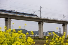 开往春天的列车