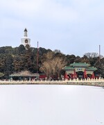 手机游拍20260118《4》