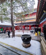 手机游拍20231214《38》