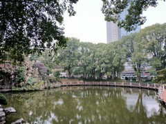 漫步星城 （961）闹市的园林